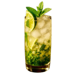Mojito